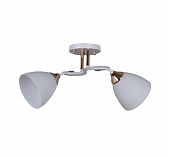 Люстра Reluce 06104-0.3-02 WH+FG, 2 лампы, Е27, 80 Вт, стекло, до 12 кв.м