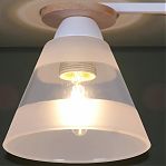 Светильник потолочный Reluce 01630-0.3-02 WH+WOOD, 2 лампы, 120 Вт, Е27, металл, дерево, до 12 кв.м
