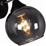 Бра Reluce 02288-0.2-01 BK+CH светильник настенный, 60 ВТ, Е27, металл, стекло, черный