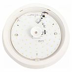 Светильник светодиодный IN HOME СПБ-2Д-КРУГ 20Вт 4000К 250мм