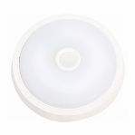 Светильник светодиодный IN HOME СПБ-2Д-КРУГ 20Вт 4000К 250мм