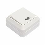 Выключатель одноклавишный с подсветкой TDM Electric Ладога SQ1801-0009 накладной,  белый