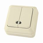 Выключатель двухклавишный с подсветкой TDM Electric  Ладога SQ1801-0008 накладной, слоновая кость