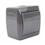Выключатель одноклавишный TDM Electric Селигер SQ1818-0103, накладной, оконечный серый