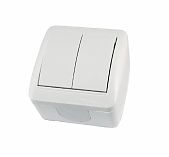 Выключатель двухклавишный TDM Electric Селигер SQ1818-0002, накладной, оконечный белый