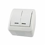 Выключатель двухклавишный TDM Electric Селигер SQ1818-0004, накладной, оконечный белый