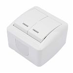 Выключатель двухклавишный TDM Electric Селигер SQ1818-0004, накладной, оконечный белый