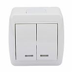 Выключатель двухклавишный TDM Electric Селигер SQ1818-0004, накладной, оконечный белый