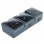 Блок 2 розетки и выключатель Эра Эксперт 11-7403-03, Б0027674, IP54, 16A, 3 поста, серый, накладной, с крышкой