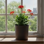 Кашпо Lamela Malwa Dluto Mokka UD-285998, диаметр 190 мм, высота 190 мм, коричневый, 4 л