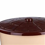 Бак 75 литров Альтернатива М3467, пластиковый, для хранения, с крышкой, бежевый