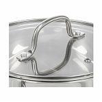 Кастрюля Daniks GS-01363-20CA Нолан, нержавеющая сталь, крышка стекло, индукция, 2.6 л