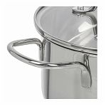 Кастрюля Daniks GS-01363-24CA Нолан, нержавеющая сталь, крышка стекло, индукция, 6.1 л