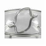 Кастрюля Daniks GS-01363-24CA Нолан, нержавеющая сталь, крышка стекло, индукция, 6.1 л