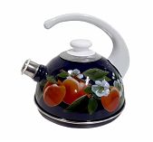 Чайник эмалированный Рубин Абрикос, со свистком, ручка консольная, синий, 2.5 л