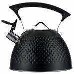 Чайник Regent Inox Linea TEA 78-002, объем 3 л, со свистком, нержавеющая сталь, цвет черный 