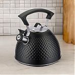 Чайник Regent Inox Linea TEA 78-002, объем 3 л, со свистком, нержавеющая сталь, цвет черный 