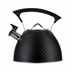 Чайник Regent Inox Linea TEA 78-002, объем 3 л, со свистком, нержавеющая сталь, цвет черный 