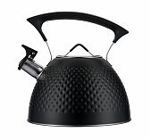 Чайник Regent Inox Linea TEA 78-002, объем 3 л, со свистком, нержавеющая сталь, цвет черный 