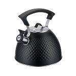 Чайник Regent Inox Linea TEA 78-002, объем 3 л, со свистком, нержавеющая сталь, цвет черный 