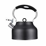 Чайник Regent inox Linea TEA 93-TEA-49, 2.5 л, со свистком, нержавеющая сталь