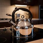 Чайник Agness UD-451104, со свистком, нержавеющая сталь, 2.8 л