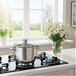 Кастрюля из нержавеющей стали Gold House Ringo GH-1829, стеклянная крышка, объем 3.9 л