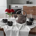 Чайник эмалированный Daniks Mokko со свистком, индукция, 2.2 л