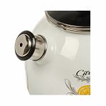 Чайник эмалированный Appetite Citron 4с209я, белый, со свистком, индукция, 3 л