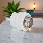 Муфта полипропиленовая Frap 25-1", НР, F112.2506, комбинированная, белая