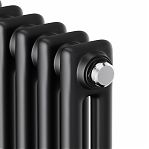 Дизайн-радиатор трубчатый Royal Thermo Insignia C2180, RAL9005m, сталь, 8 секций