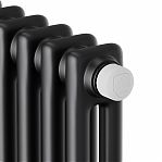 Дизайн-радиатор трубчатый Royal Thermo Insignia VC2180, RAL9005m, сталь, 8 секций