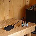 Совок каминный Печные штучки 62033, для печей, черный, длина 560 мм