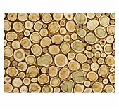 Панно из можжевельника в рамке, для бани, светло-бежевый, 250х250 мм