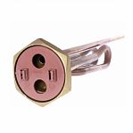 ТЭН RCT 2000W 230V D=42 mm под анод М6 30251 