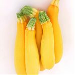 Семена Кабачок Гольда, среднеранний, гибрид, Седек 212502, 1 г