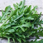 Семена Индау руккола Рокет, раннеспелая, однолетняя, Агроуспех 211051