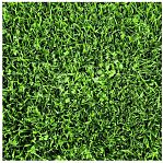 Газон спортивный Декоративная коллекция Спорт 220103, до 20 кв. м, 0.8 кг