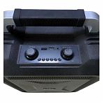 Колонка Bluetooth беспроводная Hoco DS25, напольная установка, черная