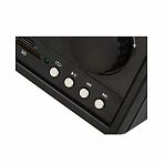 Радиоприемник Сигнал Patriot Эфир-13 USB, SD, microSD, черный, 95х160х280 мм