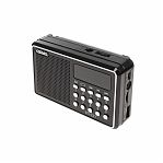 Радиоприемник Сигнал РП-221 USB, microSD, пластик, черный, 33х73х114 мм