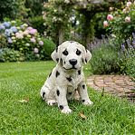 Фигура садовая Долматин, FG-131123, высота 240 мм, напольная, полистоун