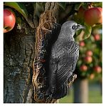 Фигура садовая Ворона на суку FG-13162, высота 300 мм, навесная, полистоун