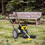 Газонокосилка бензиновая Champion LMH4412, без травосборника, 800 Вт