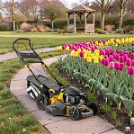 Газонокосилка бензиновая GUNTER LMB-535 SV  GU2412-8 самоходная, травосборник 65 л, 4100 Вт