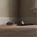 Крысоловка Sparta, усиленная, для мышей и крыс, черная, в упаковке 2 штуки