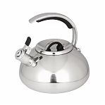 Чайник нержавеющая сталь Daniks Expert GS-04590, 480194, со свистком, зеркальный, индукция, 3 л