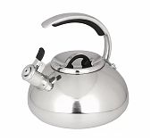 Чайник нержавеющая сталь Daniks Expert GS-04590, 480194, со свистком, зеркальный, индукция, 3 л