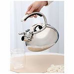 Чайник нержавеющая сталь Daniks Expert GS-04590, 480194, со свистком, зеркальный, индукция, 3 л