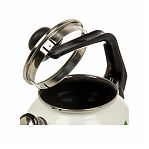 Чайник эмалированный СтальЭмаль, Лимон 506138, со свистком, ручка консольная, индукция, 2 л